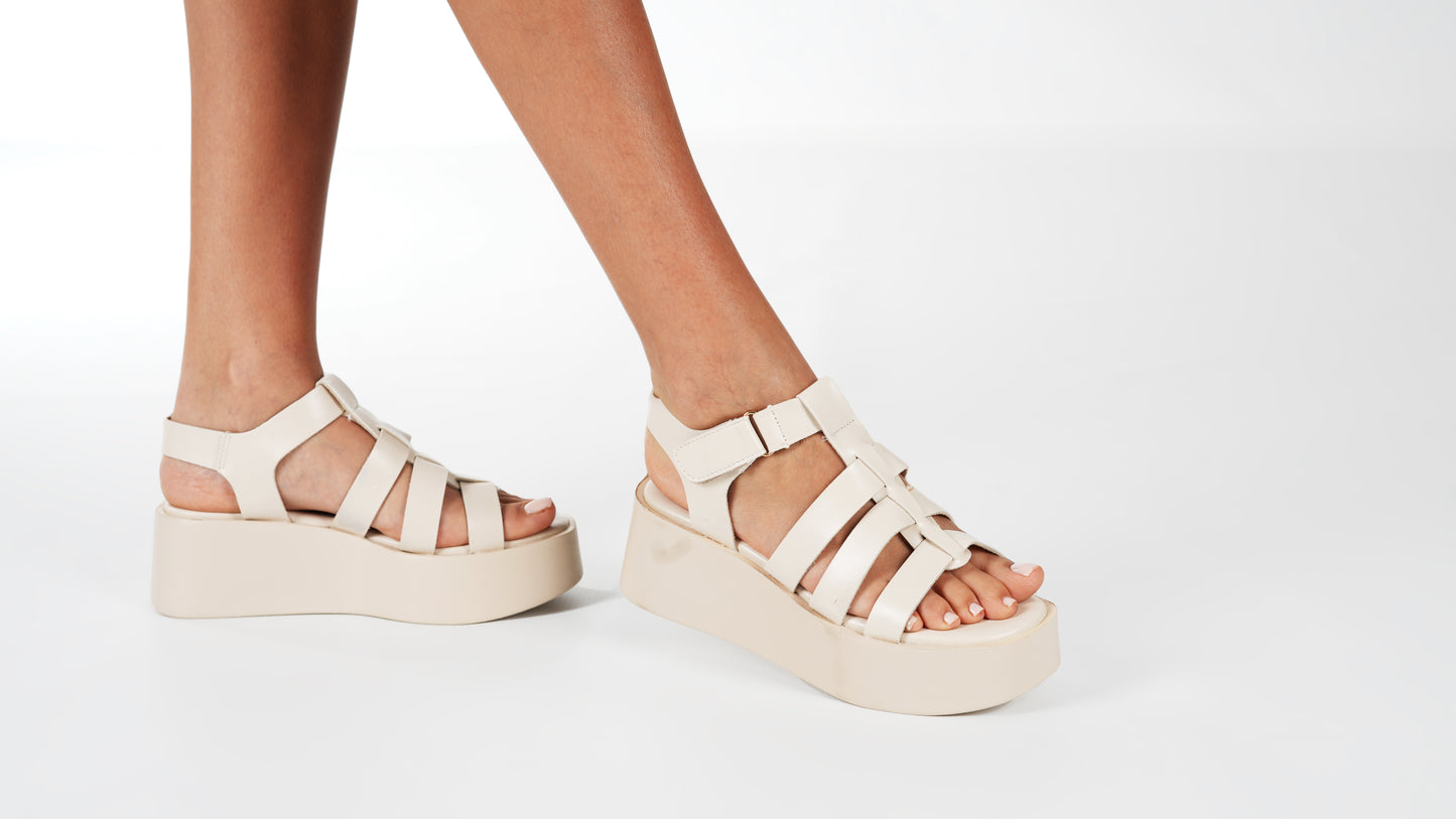Q1211 camel