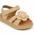 36 beige