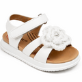 36 white