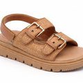 30 camel