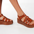 Q1211 camel