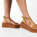 Q1209 camel