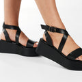 Q1209 black